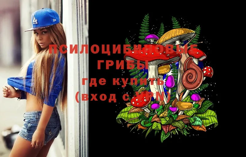 Галлюциногенные грибы Psilocybe  Дивногорск 